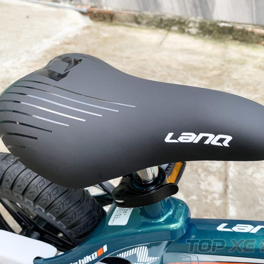 LANQ46 New Sườn Nhôm Lá - 12 inch IMG 1687 scaled