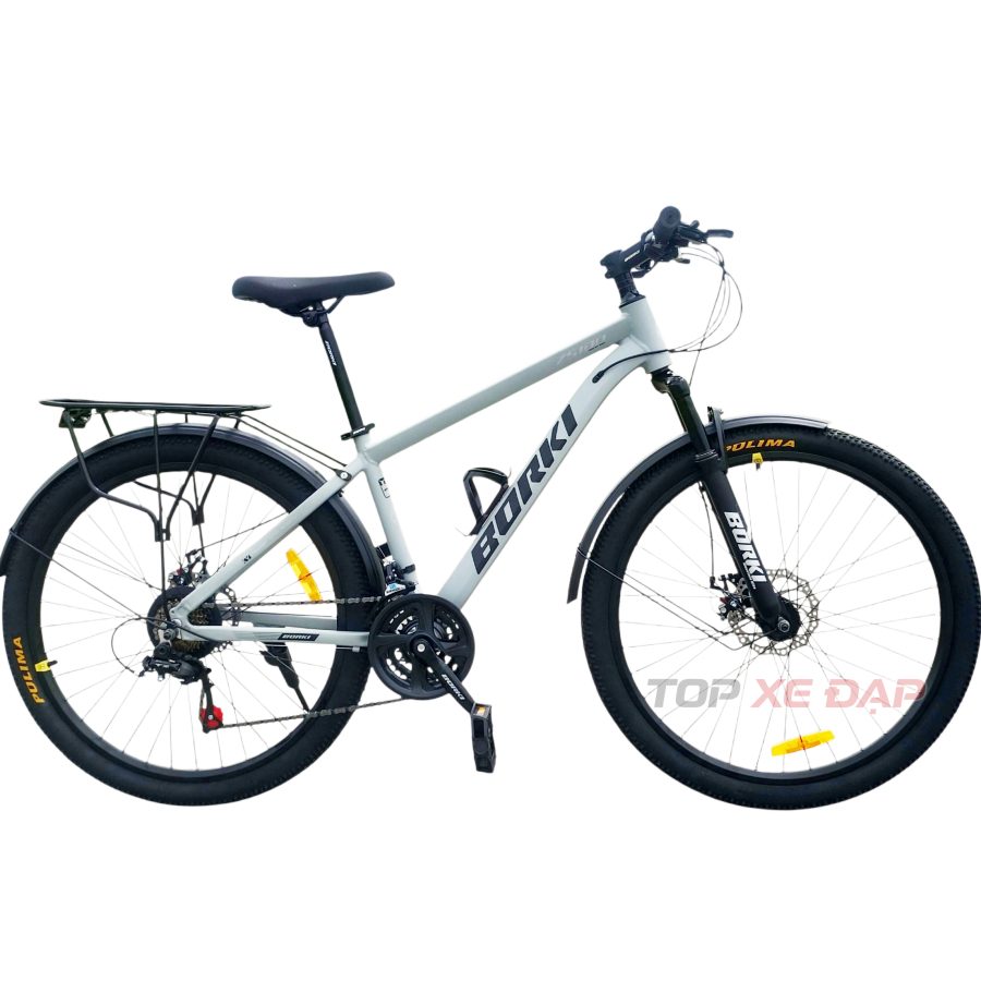 xe đạp thể thao borki n500