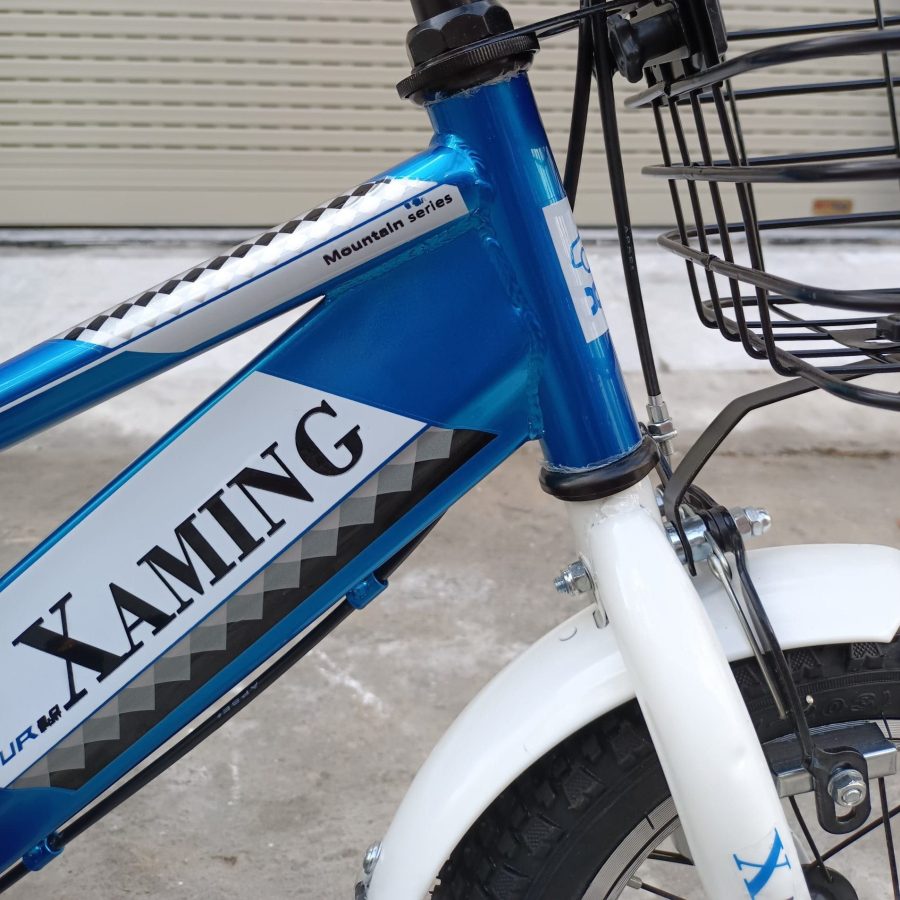 Xe Đạp XAMING 12 Inch Tay Ngang - Xanh Đỏ IMG 20220320 160645 scaled e1738988714417