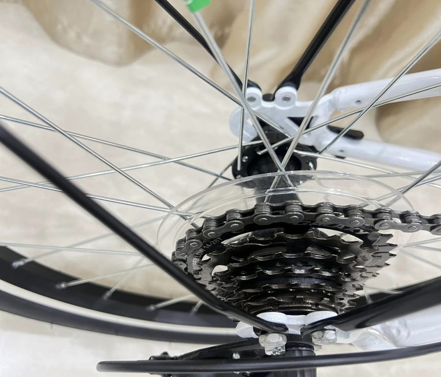 440966643 7561864053928385 2275529139712248171 n