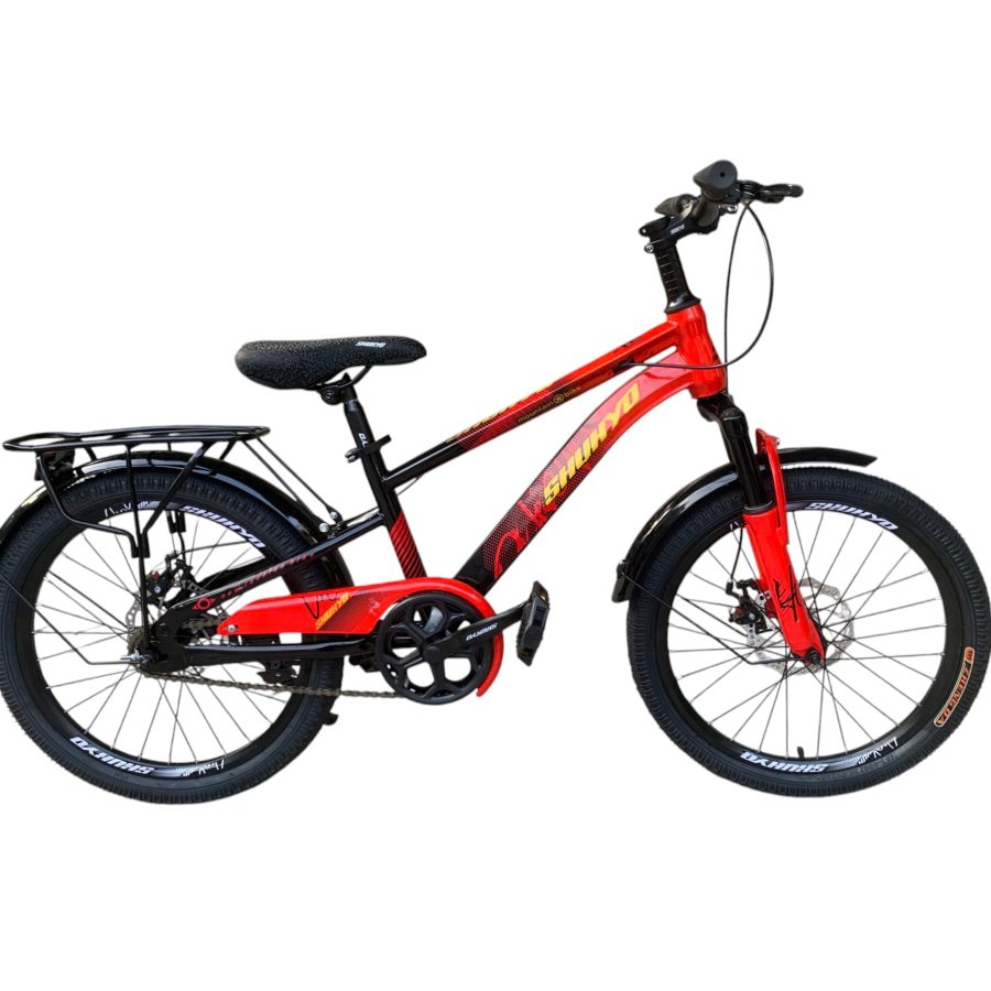 xe đạp thể thao 20 inch