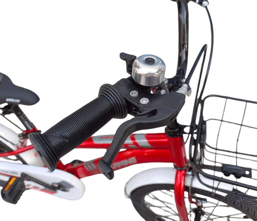 Photoroom 20241106 075020