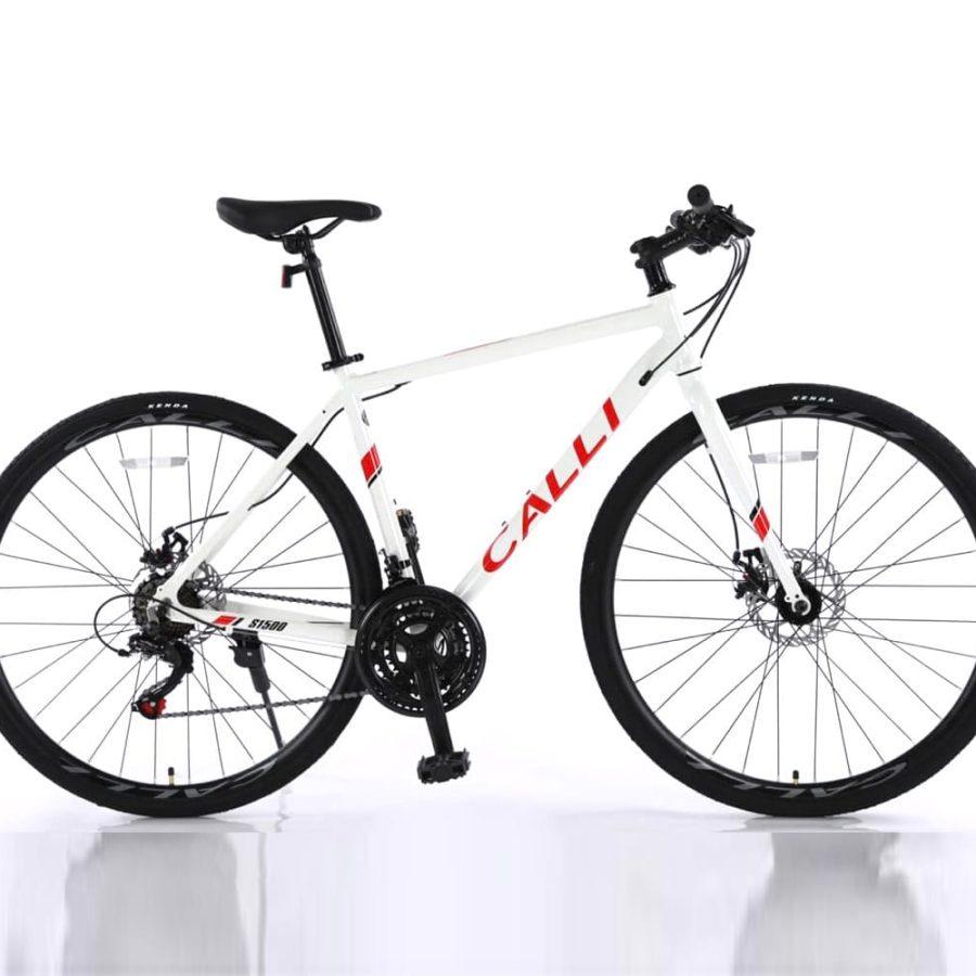 xe đạp đường phố touring calli s1500