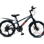 Xe đạp địa hình Borgki Super 20 inch