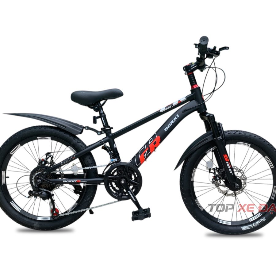 xe đạp địa hình borgki super 20 inch có đề