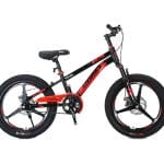 Xe Đạp Thể Thao Borgki VD3D - 20 Inch
