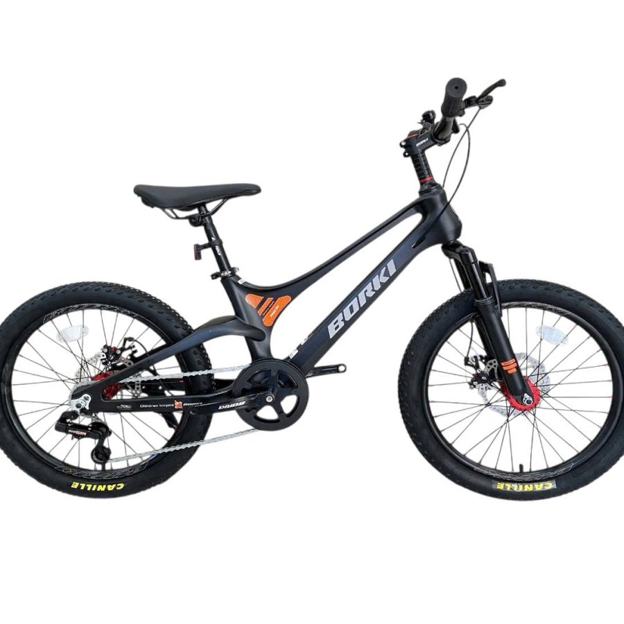 xe đạp thể thao borgki nhôm 20 inch