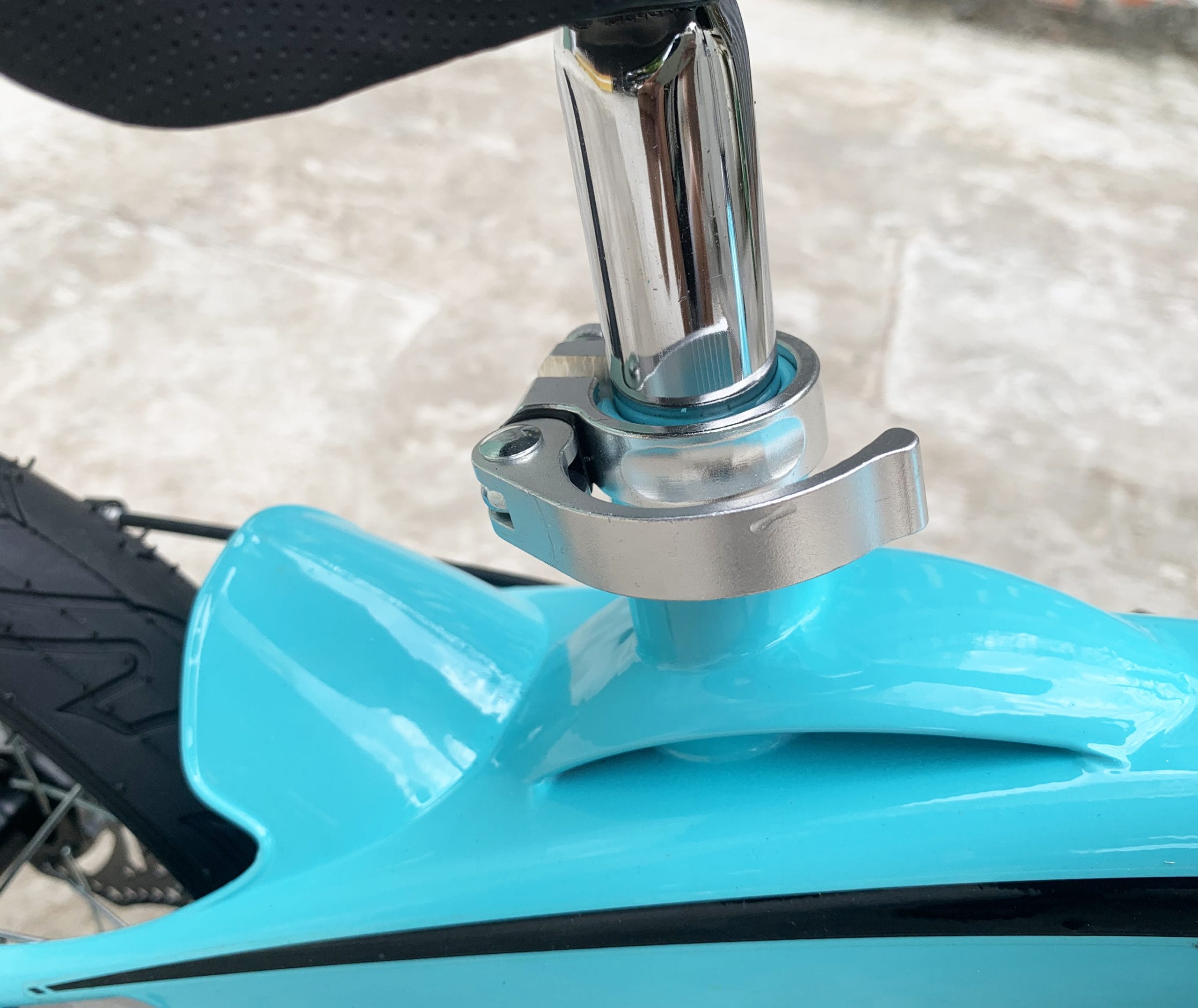 IMG_1966 IMG 1966 scaled