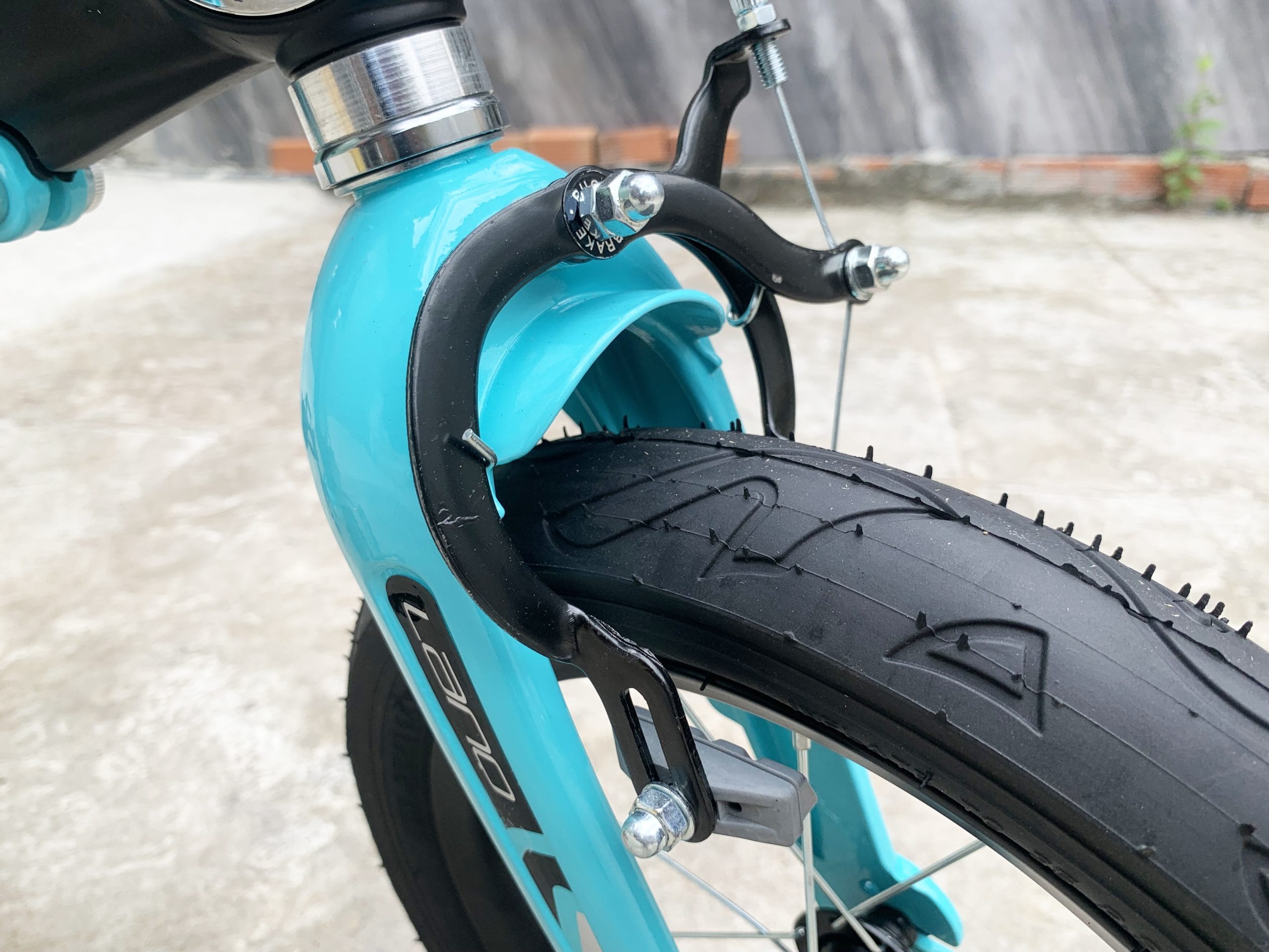 IMG_1969 IMG 1969 scaled