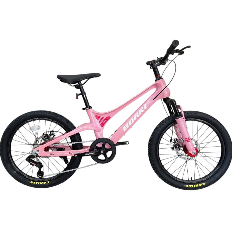 xe đạp thể thao màu hồng borgki 20 inch