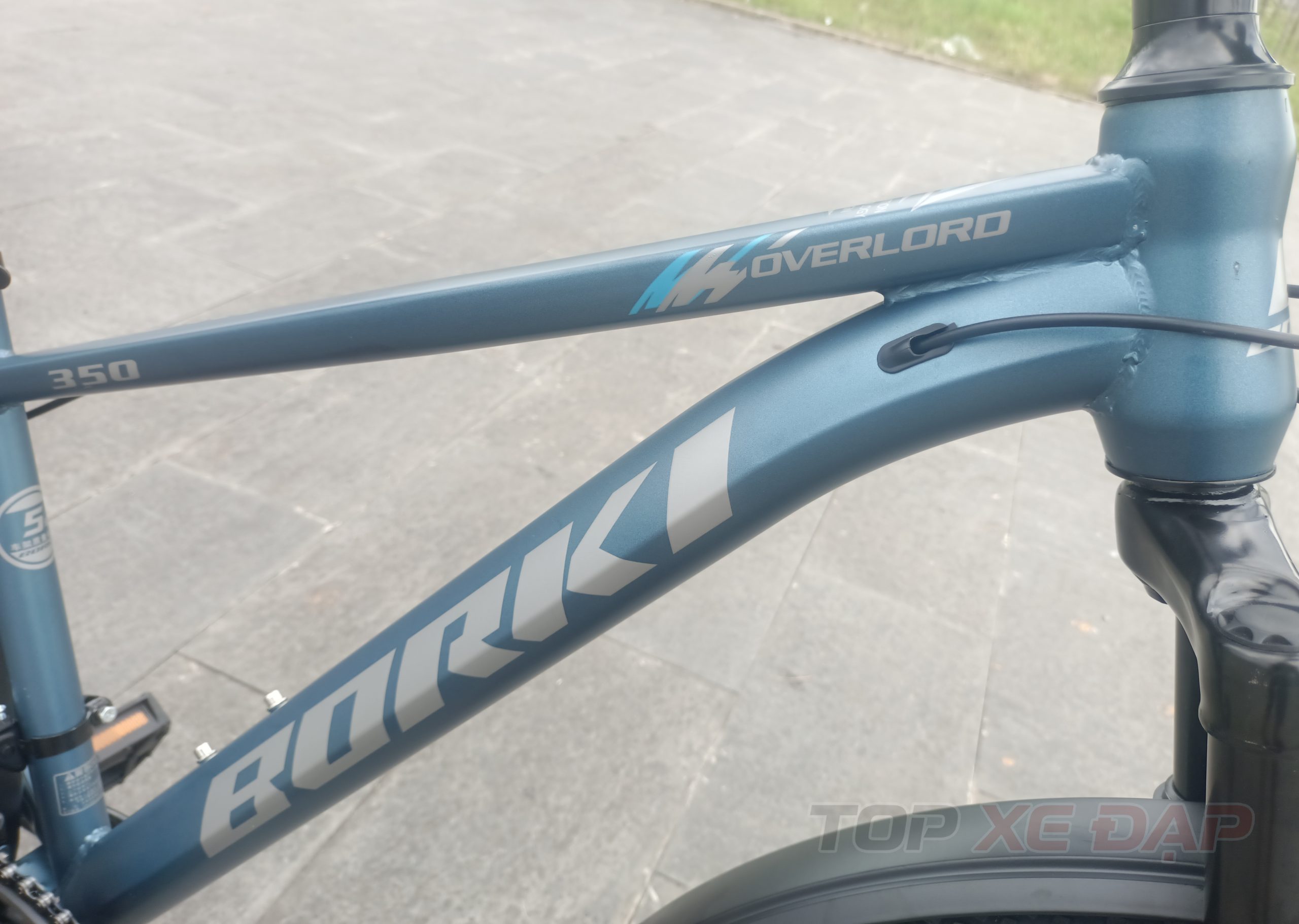 Xe Đạp Địa Hình BORKI 350 IMG 20251031 123355 scaled