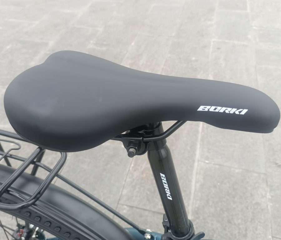 Xe Đạp Địa Hình BORKI 350 IMG 20251031 123408