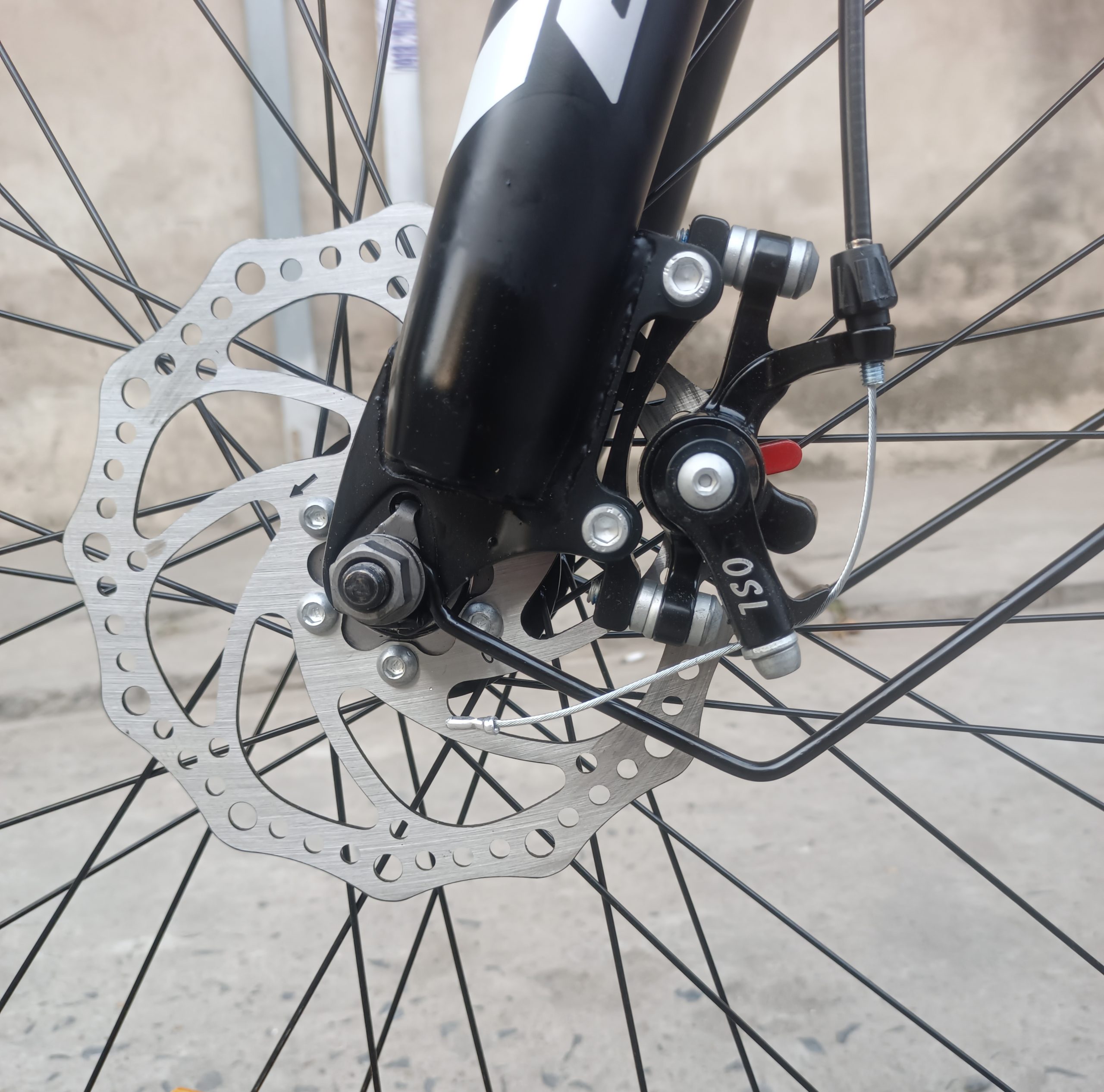 IMG 20260104 172259 scaled